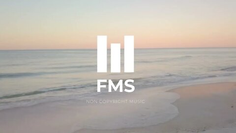 FMS - Free Non Copyright EDM Music #015