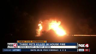 Three pets killed in Fort Myers house fire