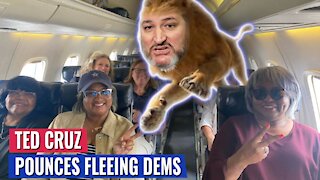 LION TED CRUZ ROARS AT TEXAS DEMOCRATS FLEEING STATE: ARREST THEM ALL!