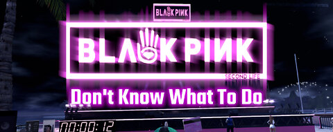 BlackPink - Don't Know What To Do - Metaverse Secondlife