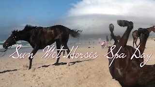 SOUTH AFRICA - Cape Town - Met horses Spa treatment (Video) (4Mo)