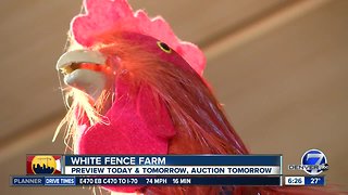 White Fence Farm auction Friday