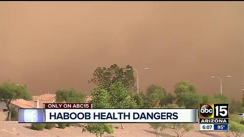 What's in haboob dust that makes researchers want yo