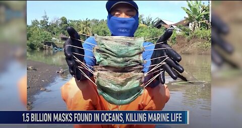 1.5 Billion Masks Found In Ocean Last Year, Marine Life Being Killed