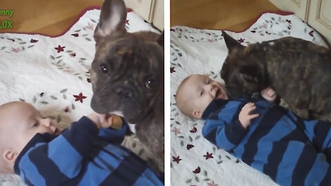 dogs are the bestfriend forever of the baby