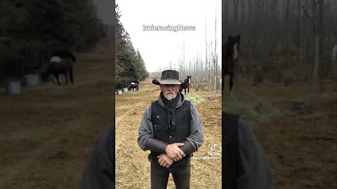 REAL CDN COWBOY- "Credit Belongs To The Man Actually In The Arena!"