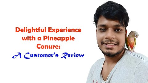 Delightful Experience with a Pineapple Conure : A Customers Review