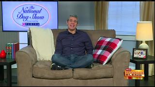 Chatting with Andy Cohen About the National Dog Show