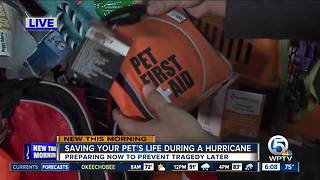 Be pet ready for storm season