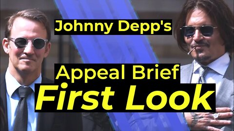 Johnny Depp Appeals $2mil Judgment for Adam Waldman Statements - Brief filed - Attorney Analysis