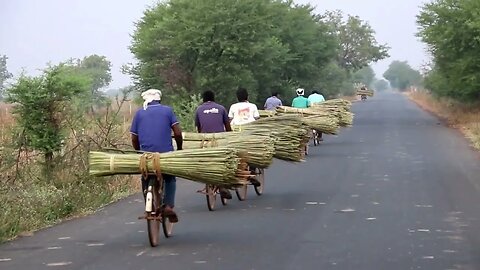 Feel the video, Morning life in village | Village People are on there way to farm
