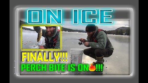 First Ice 2021!! Only Drilled 1 Hole! Hot Perch Bite in the Adirondacks Mountains Of NY