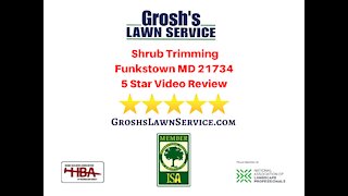 Shrub Trimming Funkstown MD Review 5 Star Video
