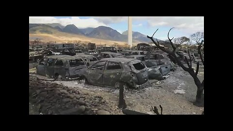Three weeks after Maui fires, dozens of people remain missing | Emily NEWS
