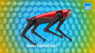 Meet AlphaDog!
