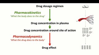 Pharmacodynamics Mechanism of Drug Action