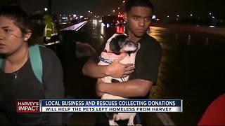 Florida pet rescue groups collecting donations