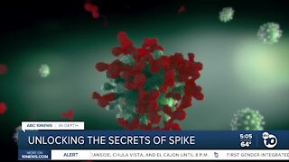In-Depth: Unlocking the secrets of COVID-19's virus spikes