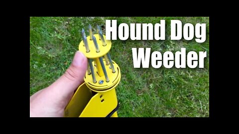 Hound Dog HDP34 Weed Hound Elite Stand Up weeder Weeding Tool by The Ames Companies