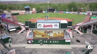 Boise Hawks tryout