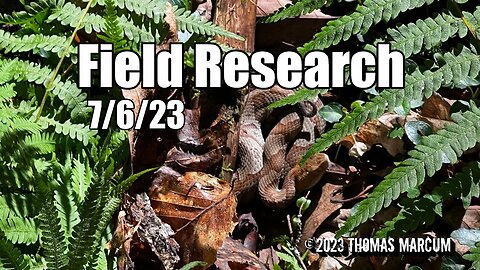 Field Research | Weird day | 7/6/23