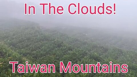 🔴 In The Clouds! Taiwan Mountains with MJ Klein 2023 04/ 30