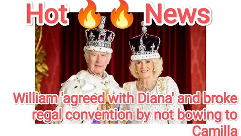 William 'agreed with Diana' and broke regal convention by not bowing to Camilla
