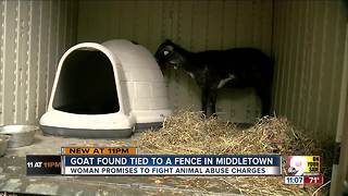 Police say goat was tortured in Middletown
