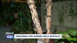 Garden Walk Buffalo draws more than 65,000 visitors