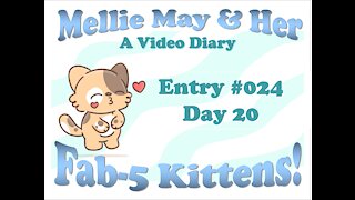 Video Diary Entry 024: Day 20 - Mama Mellie Day at the Claw Spa - What is a Rollie-Polely?