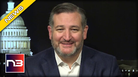 Ted Cruz Has Great Analogy when Asked if Republicans Want to Defund Police