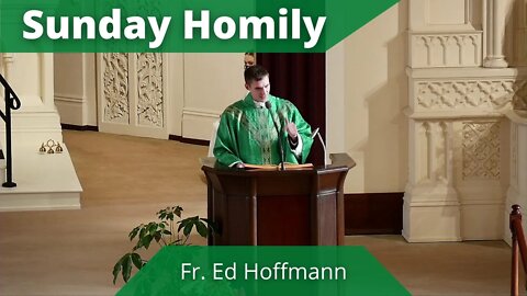 Homily for the Fifth Sunday in Ordinary Time - Father Ed Hoffmann