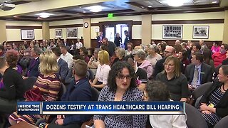 Several dozen Idahoans testify against bill that would outlaw trans youth healthcare