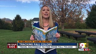 Finding the best fall foliage in the Tri-State