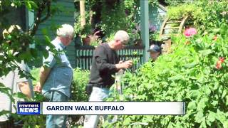 Buffalo holds annual garden tour citywide