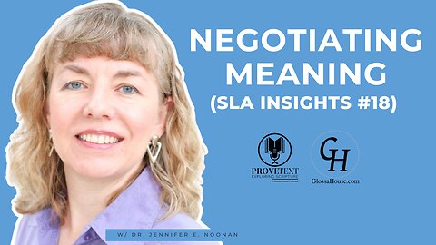 651. Negotiating Meaning #18 (SLA Insights)