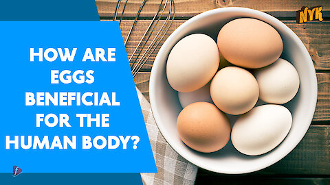 Top 4 Health Benefits Of Consuming Eggs Once In Your Everyday Meal