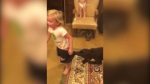 Puppy Dog Pulls Off A Toddler’s Pants