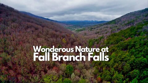 Forest & Fantasy | Hiking Fall Branch Falls In Ellijay, Georgia (BMT)