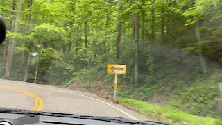 2006 Porsche Carrera S on Tail of the Dragon