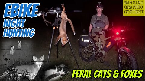 Ebike Predator Hunting || Feral Cats & Foxes || EORB FAT1000 MTB || Thermal Shooting Australia