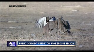 Fish & Game seeking public comment on sage-grouse hunting season