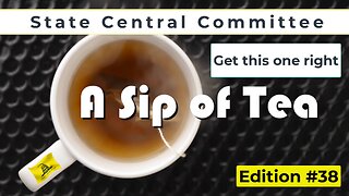 SIP #38 - The Vote for who is elected to State Central Committee