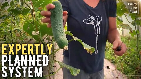 Unbelievable! How This Canadian Farm Grows YEAR-ROUND!