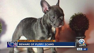 Beware of puppy scams
