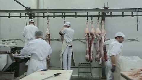 Group of butchers cutting hanging pork meat in a butchery. Meat processing in food industry