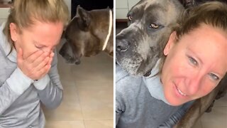 Sweet doggy apologizes after accidentally scratching owner