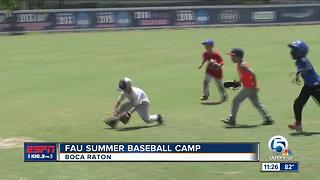 FAU Summer Baseball Camp