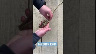 Best Knots: TARBUCK KNOT. Follow along. #shorts #knots