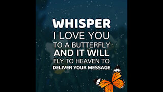 Whisper I Love You [GMG Originals]